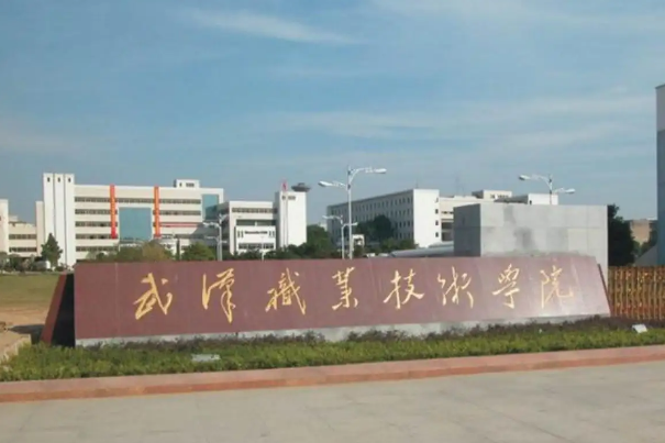 武漢大專排行榜前十，長江職業(yè)學(xué)院上榜，第一屬實(shí)名不虛傳