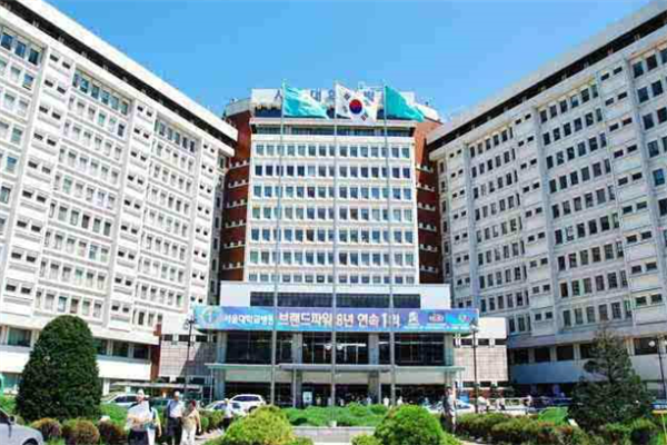 韓國最好的大學排名：高麗大學上榜，第一多名總統畢業
