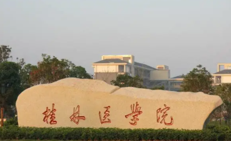 廣西大學(xué)前十高校排名，廣西的高校有哪些
