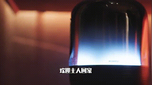 華為正式發布 打造 未來家 ，提升幸福感（華為正式發布打造）(13)