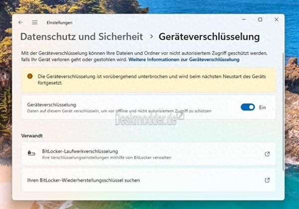 微軟會玩!Windows 11 24H2細節(jié)曝光:對數(shù)據(jù)默認加密、影響SSD性能