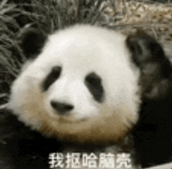 任天堂閃擊GitHub：一夜刪光8000多個(gè)模擬器代碼倉(cāng)庫(kù)！