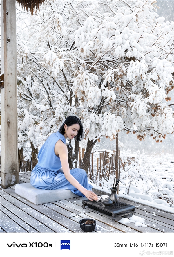 藍廠強直屏旗艦！vivo X100s首發(fā)四季人像功能
