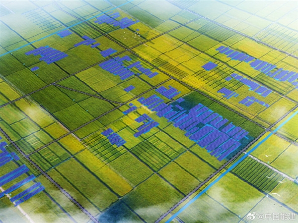 養(yǎng)魚發(fā)電兩不誤！上海崇明100兆瓦漁光互補(bǔ)項(xiàng)目開工