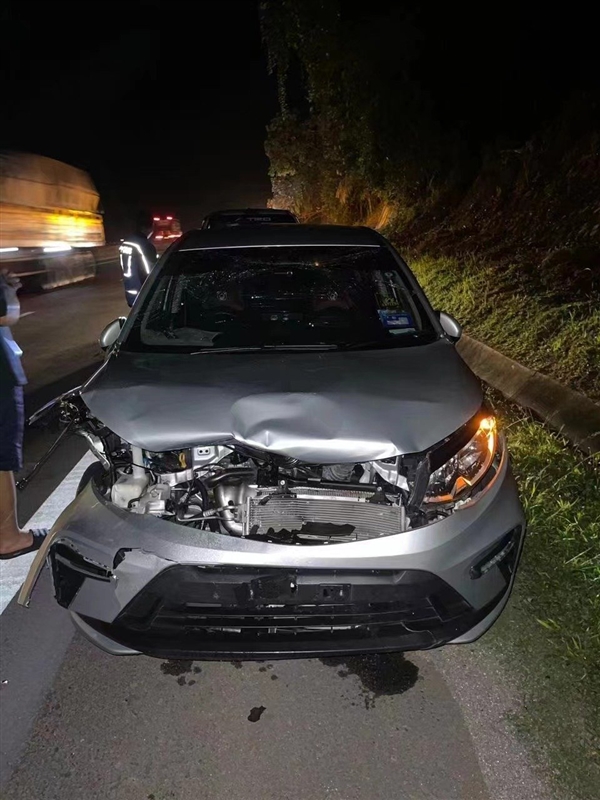 馬來西亞一只猛虎橫穿馬路時被撞死：行車記錄儀曝光