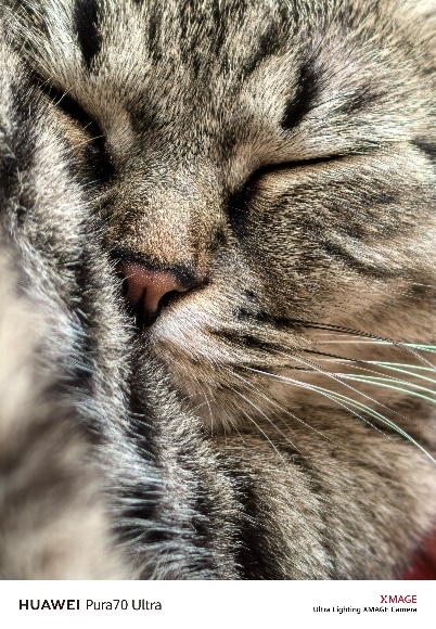 HUAWEI Pura 70銳意風尚之夜登陸上海：何剛詮釋“銳意向前”品牌精神