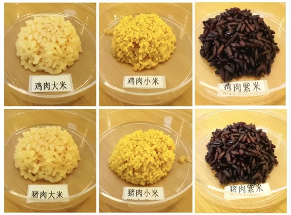 米肉合一！我國成功培育豬肉米和雞肉米 每顆米粒自帶肉香