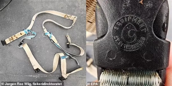 背負間諜之名 后死在異鄉!備受爭議的網紅白鯨在挪威神秘死亡