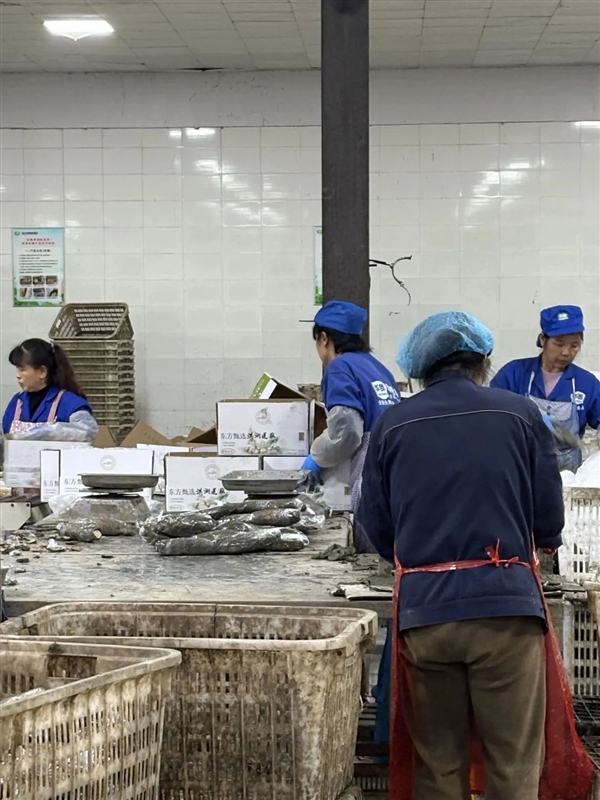 新疆的海鮮、甘肅的蝦 農業大摸底太精彩了