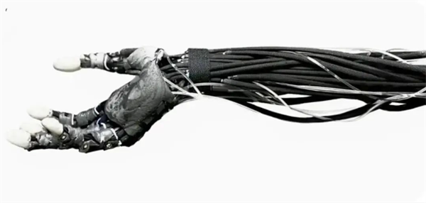 外觀驚悚！波蘭發(fā)布可雙足行走肌肉骨骼機器人