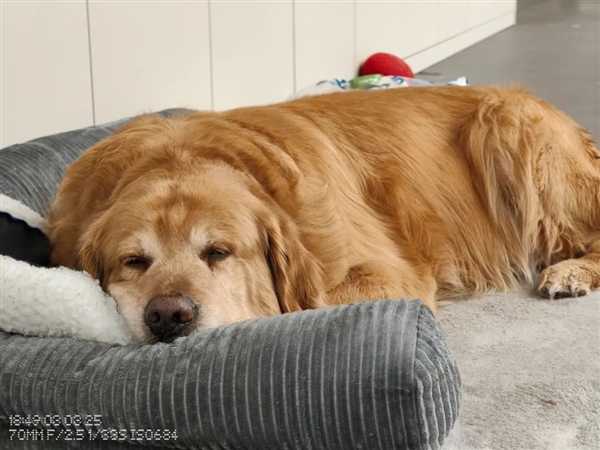 2000塊的Nothing Phone 現在也開始堆料了