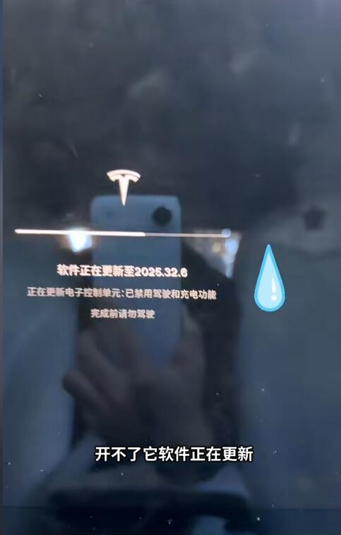 楊天真吐槽特斯拉系統更新打不開車門 只能從后備箱爬進去